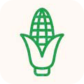 Corn Starch Degradable